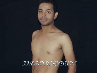 THEHORNYDUDE
