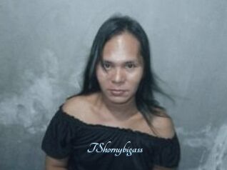 TShornybigass