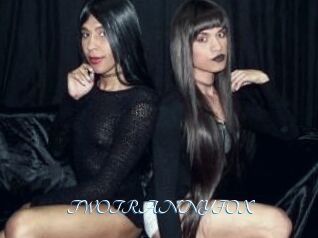 TWO_TRANNY_FOX