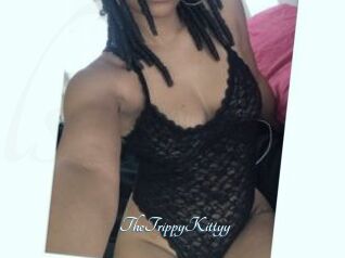 TheTrippyKittyy