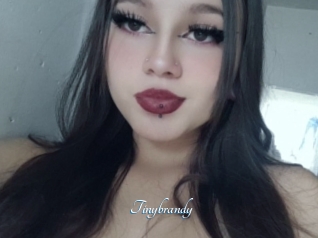 Tinybrandy