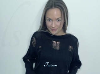 Torisan