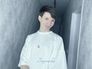 Troyemellet