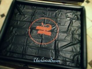 UnchartedSexion