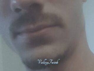 ValleyTwink