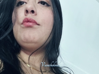 Vaneholmes