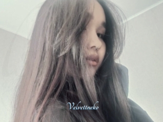 Velvettneko