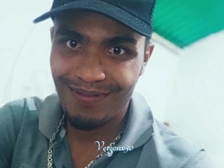 Vergonx30