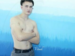 Vibnill
