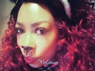 WetEstuary