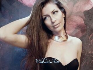 WildCatAlex