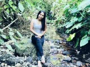 Wild_Rose18