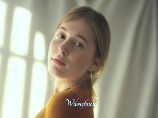 Wilonefinch