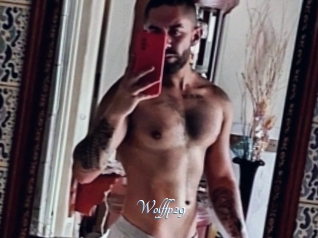 Wolffp29