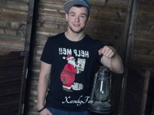XandyFox