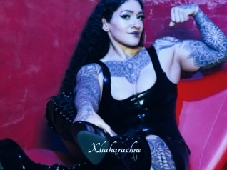 Xliaharachne