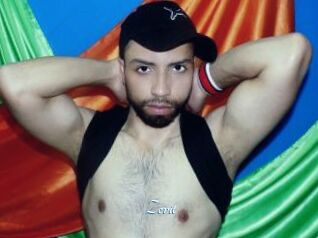 Zevit